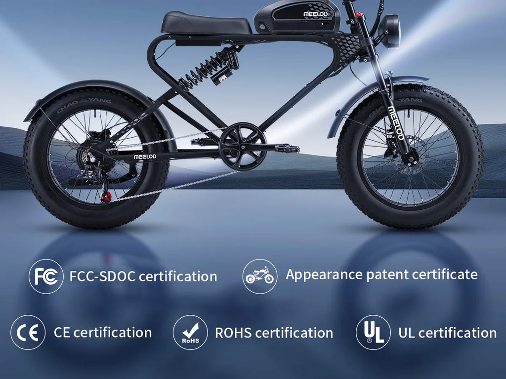 Fat Tire E - Bike