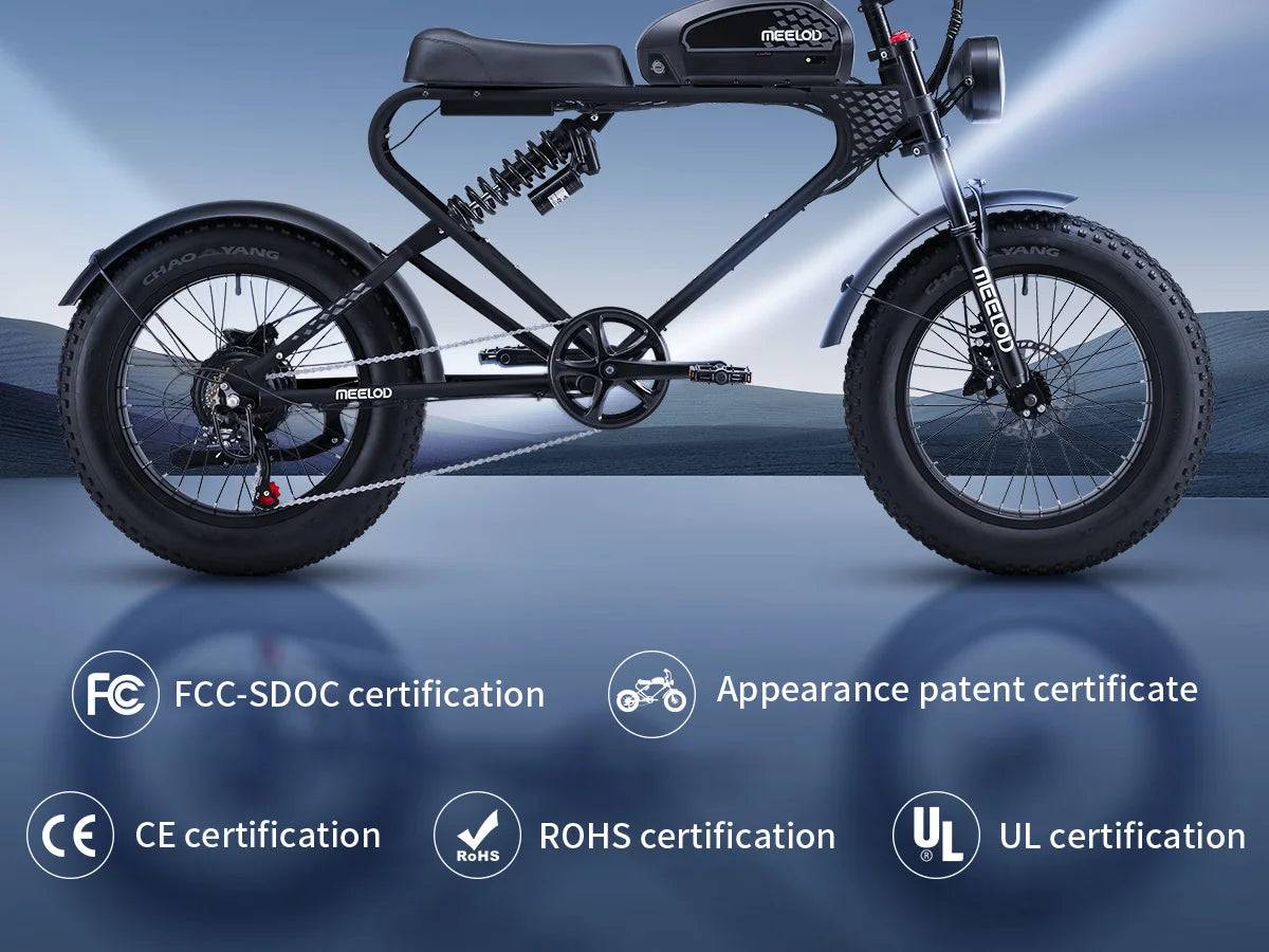 Fat Tire E - Bike