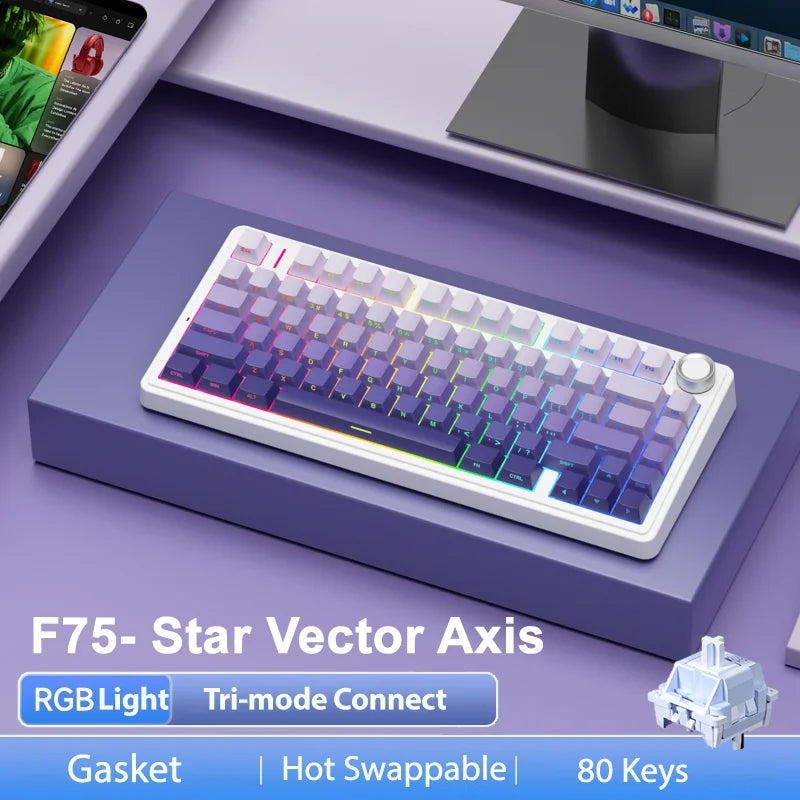 Wireless Gaming Mechanical Keyboard