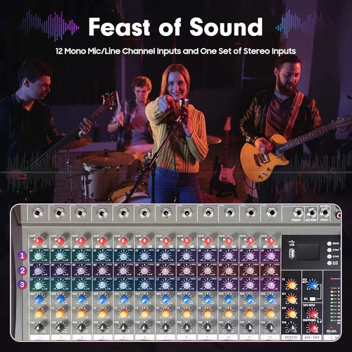 12-channel Professional  Audio Mixer