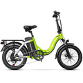 1000W Peak Electric Bike for Adults