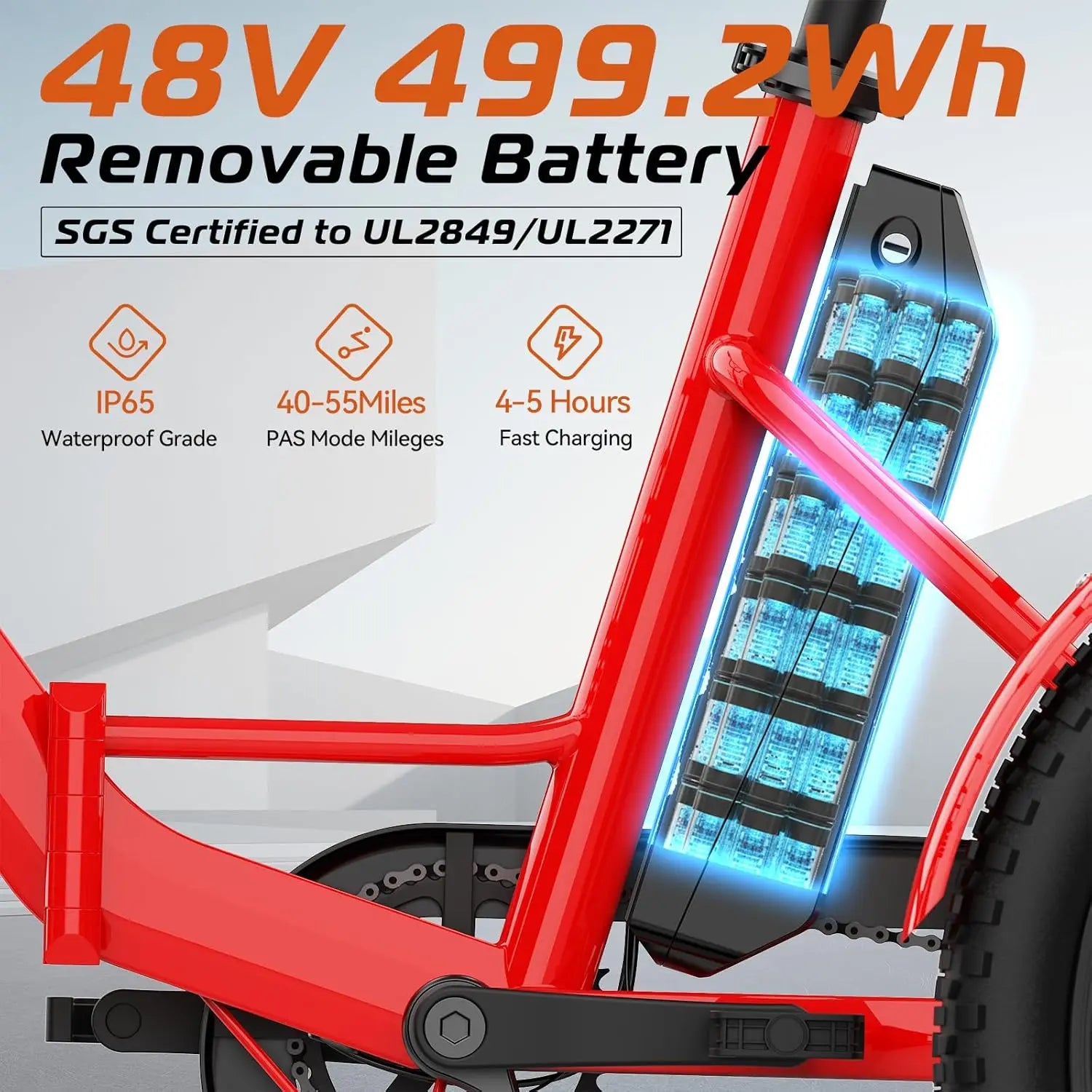 Fat Tire Electric Tricycle for Adults