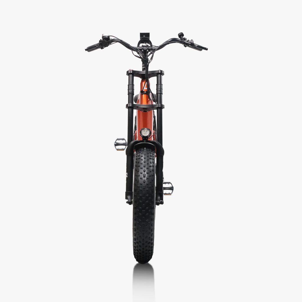 Fat Tire E-Mountain bike