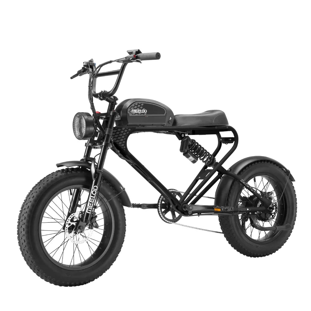 Fat Tire E - Bike