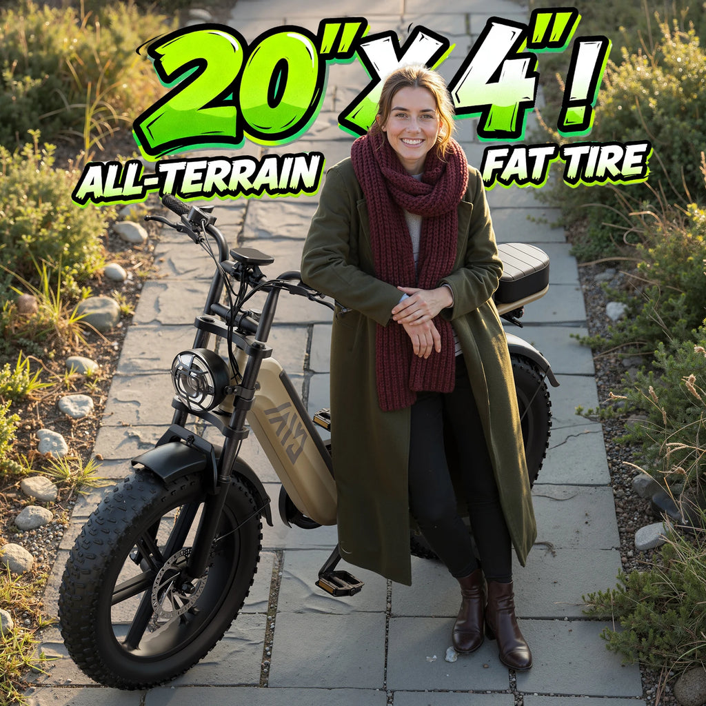 1500W Electric Bike With Rear Seat